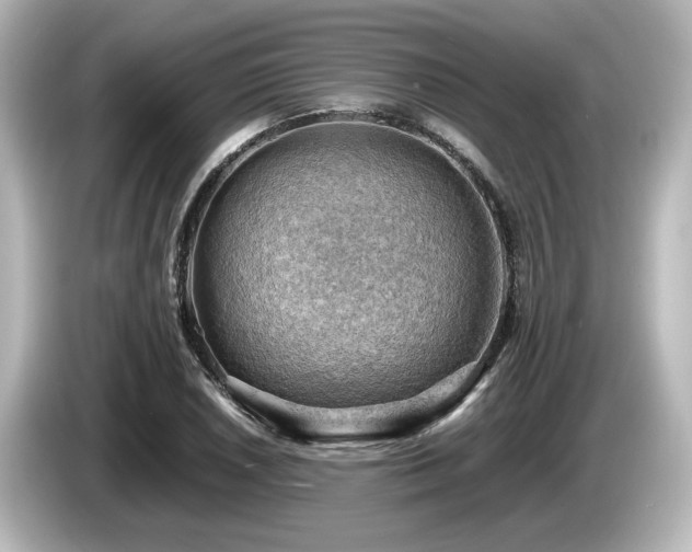 X0000085741026200703161023