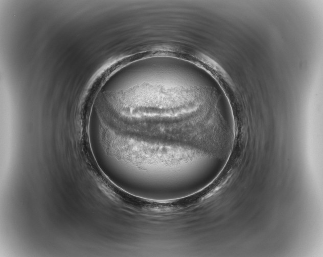 X0000085741027200703161023