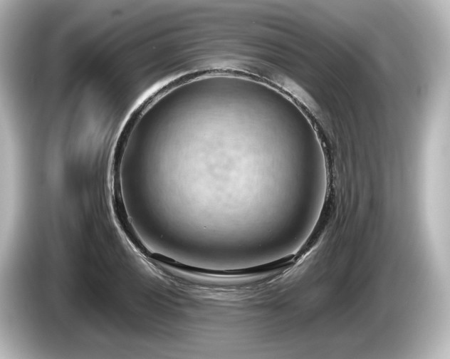 X0000085741028200703161023