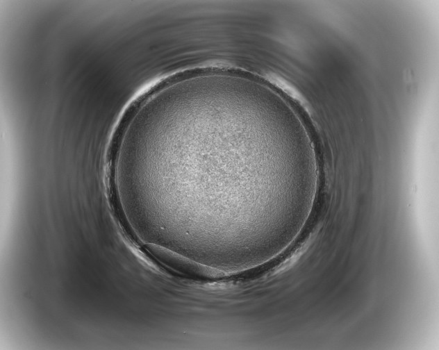X0000085741029200703161023