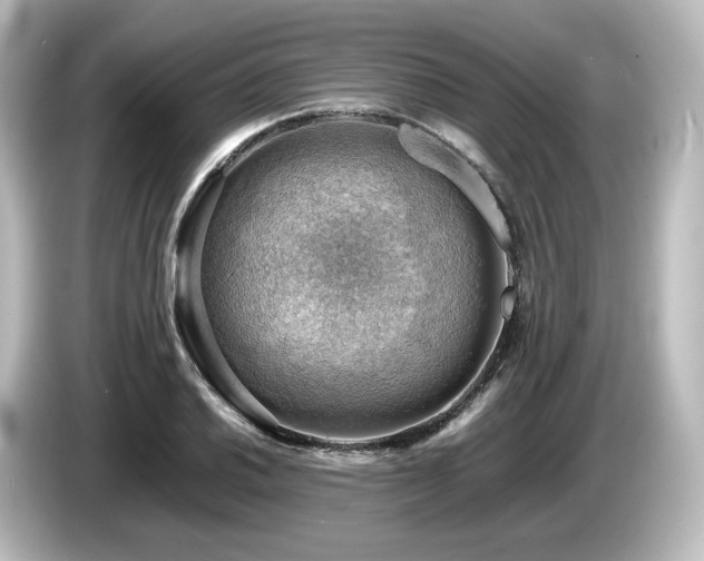 X0000085741030200703161023