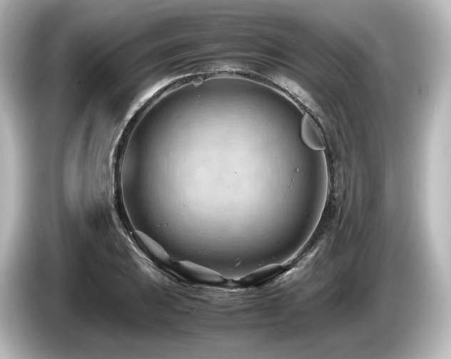 X0000085741031200703161023