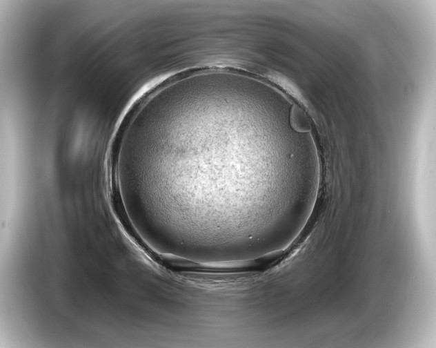 X0000085741032200703161023