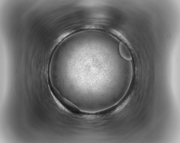 X0000085741033200703161023
