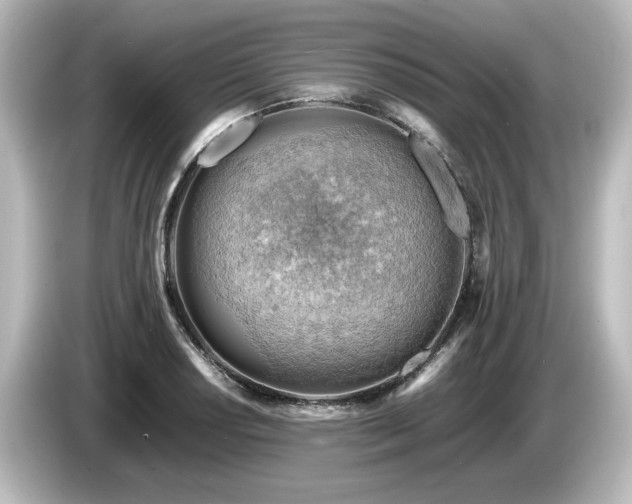 X0000085741034200703161023