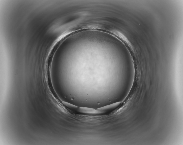 X0000085741035200703161023