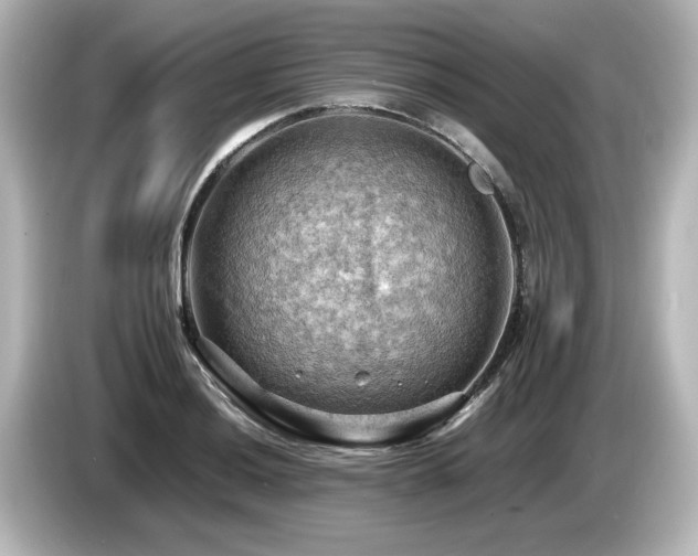 X0000085741036200703161023