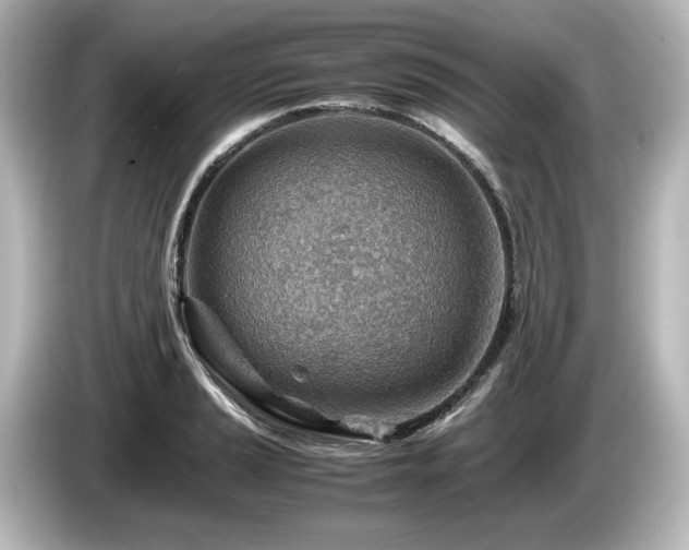 X0000085741037200703161023