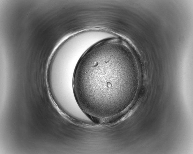 X0000085741038200703161023