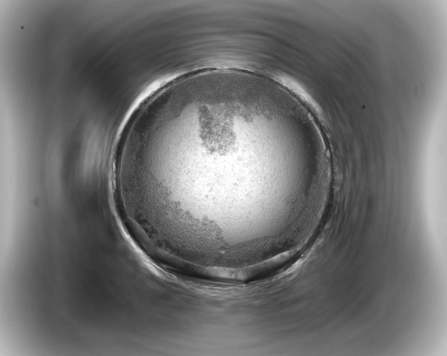 X0000085741040200703161023
