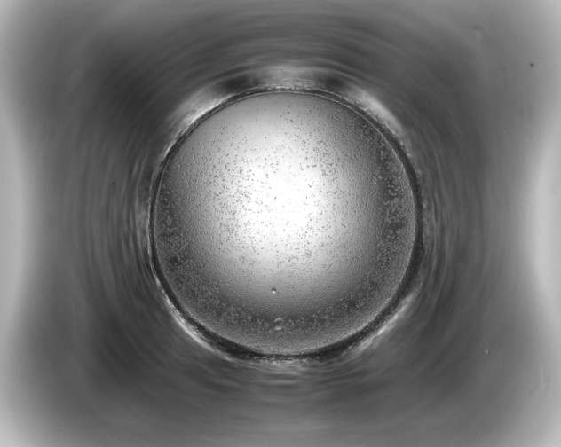 X0000085741041200703161023