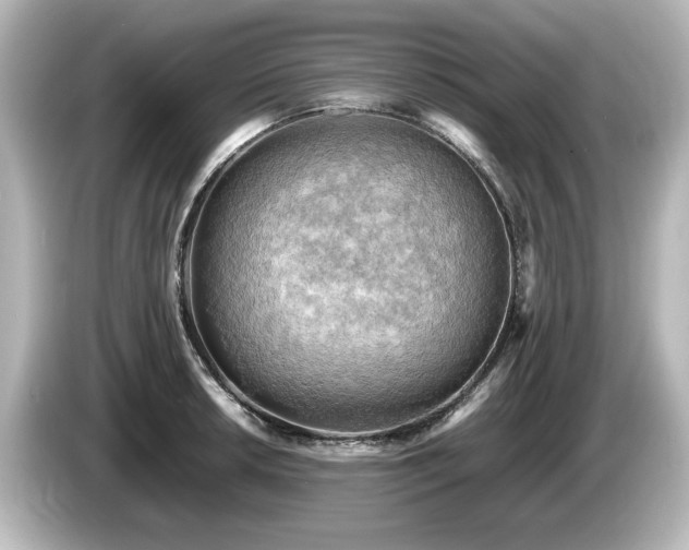 X0000085741042200703161023