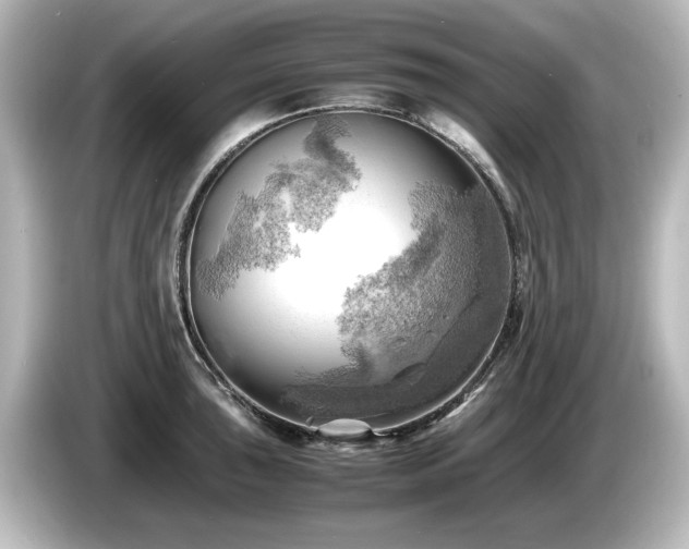 X0000085741043200703161023