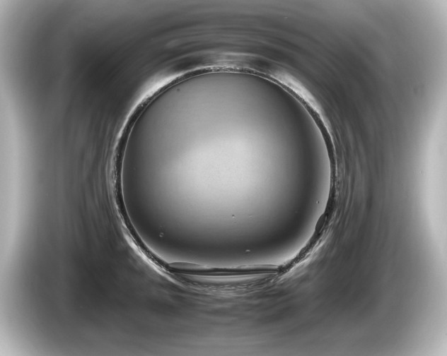 X0000085741045200703161023