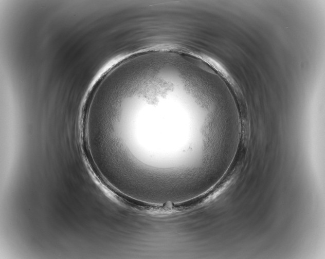 X0000085741046200703161024