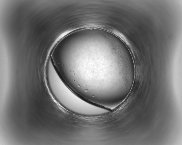 X0000085741048200703161024