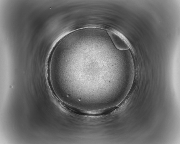X0000085741051200703161024