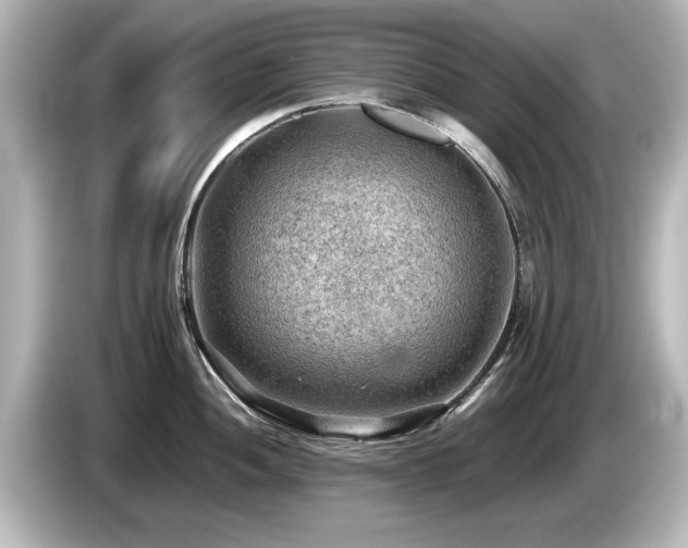 X0000085741052200703161024