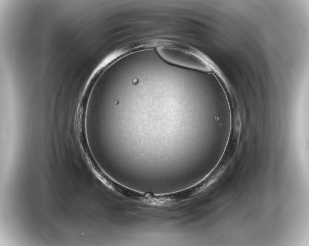 X0000085741053200703161024