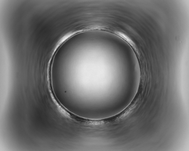 X0000085741055200703161024