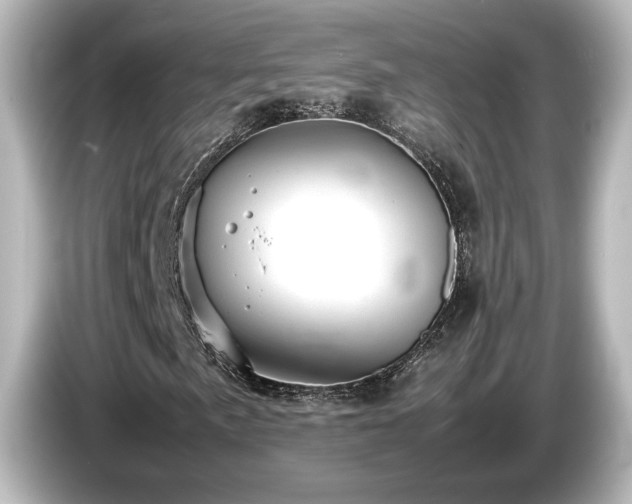X0000085741057200703161023