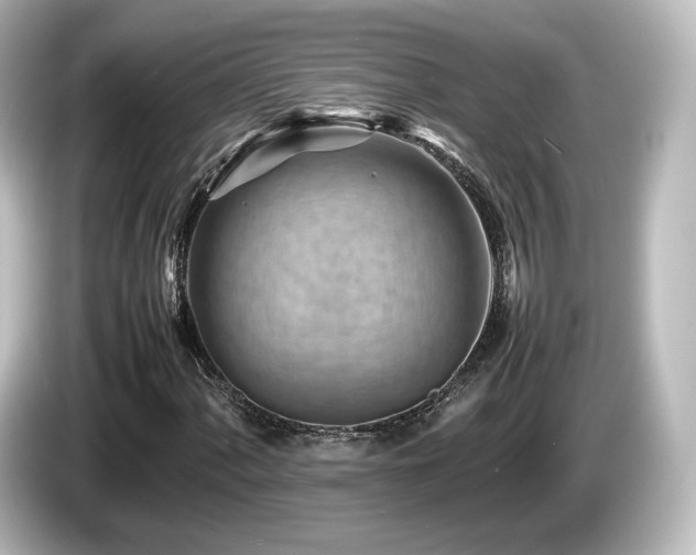 X0000085741060200703161023