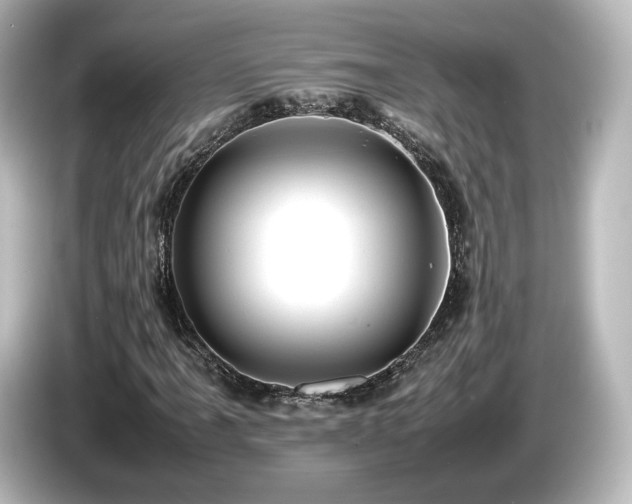 X0000085741061200703161023