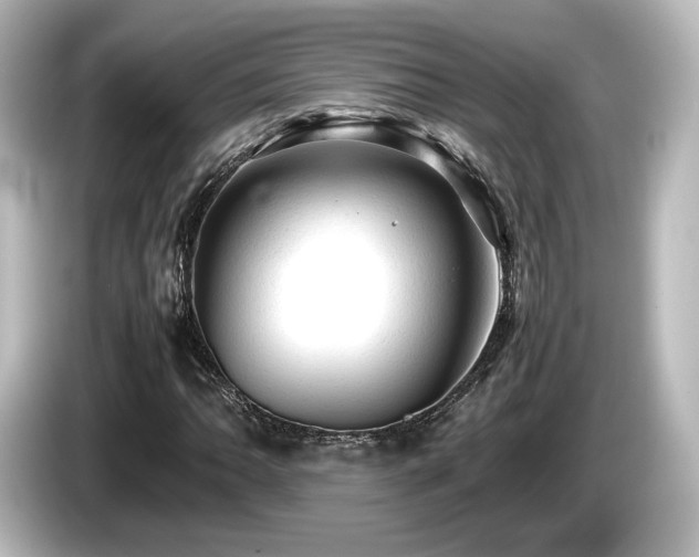 X0000085741062200703161023