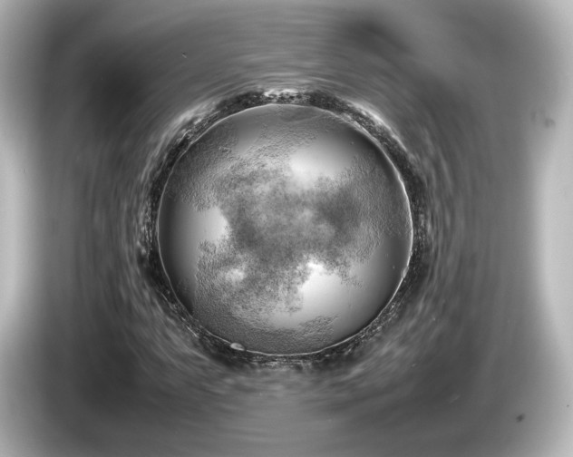 X0000085741063200703161023