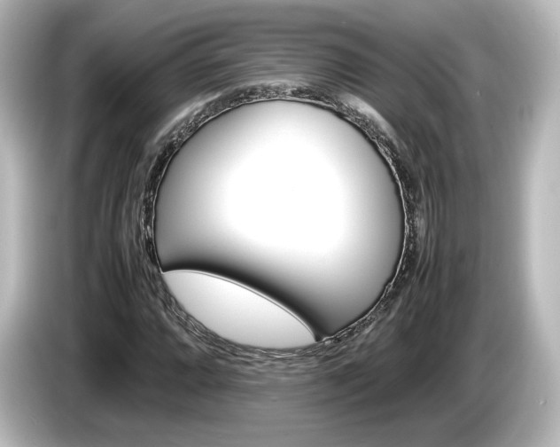 X0000085741064200703161023
