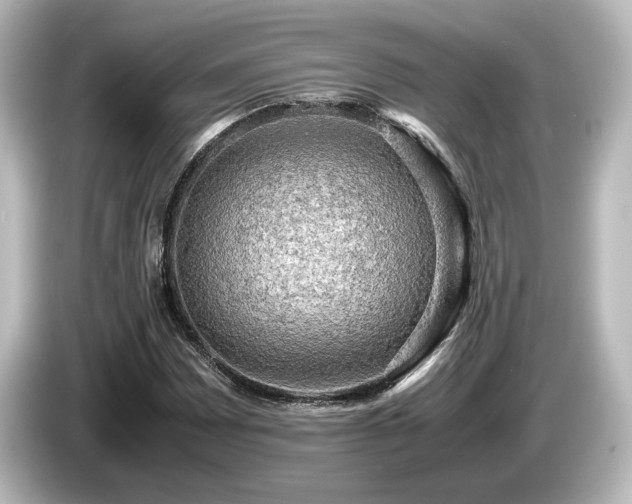 X0000085741065200703161023