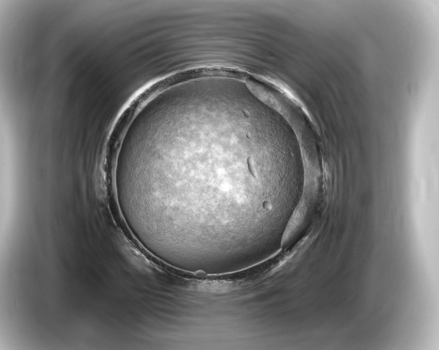 X0000085741068200703161023