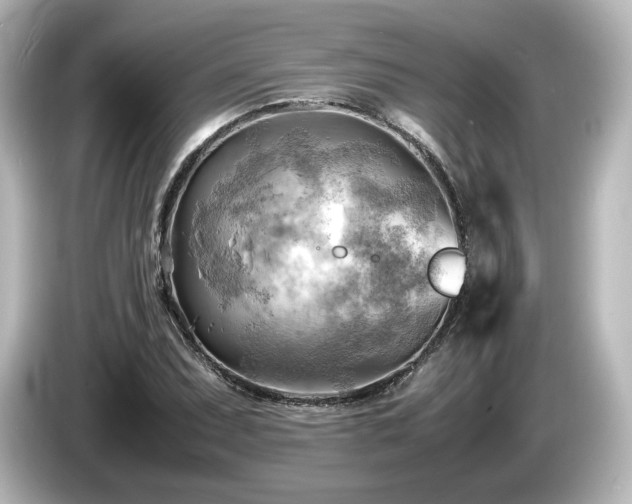 X0000085741071200703161023