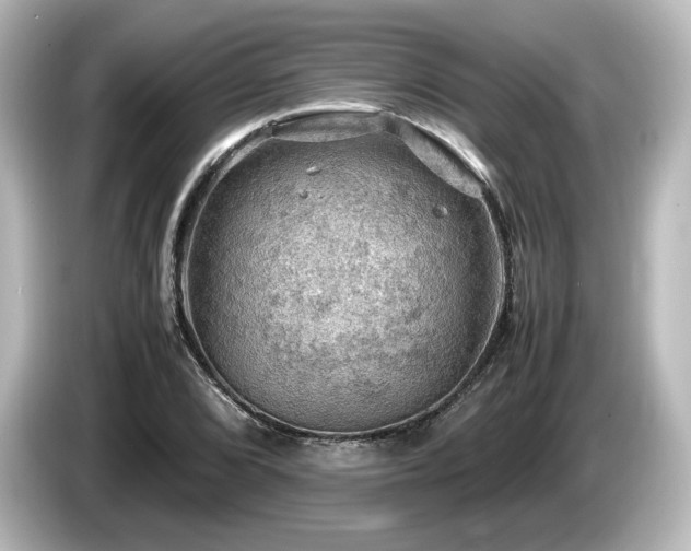 X0000085741072200703161023