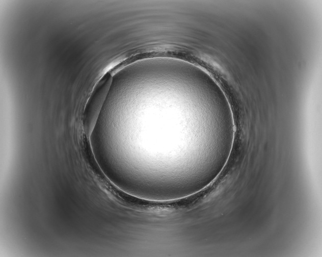 X0000085741073200703161023