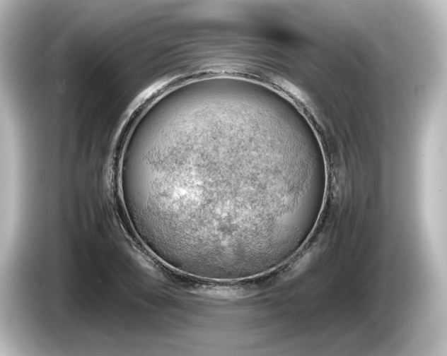 X0000085741074200703161023