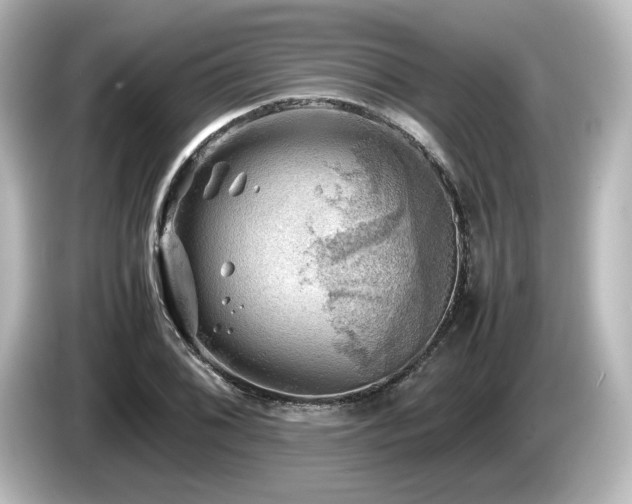 X0000085741076200703161023