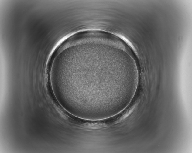 X0000085741077200703161023