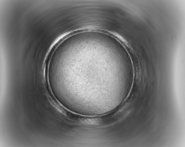 X0000085741078200703161023