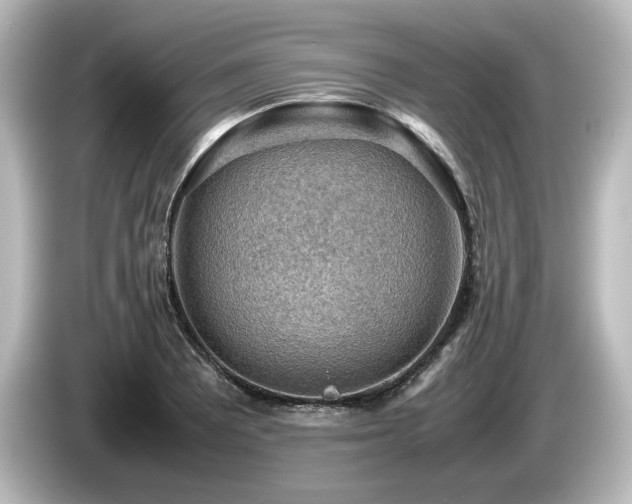X0000085741081200703161023