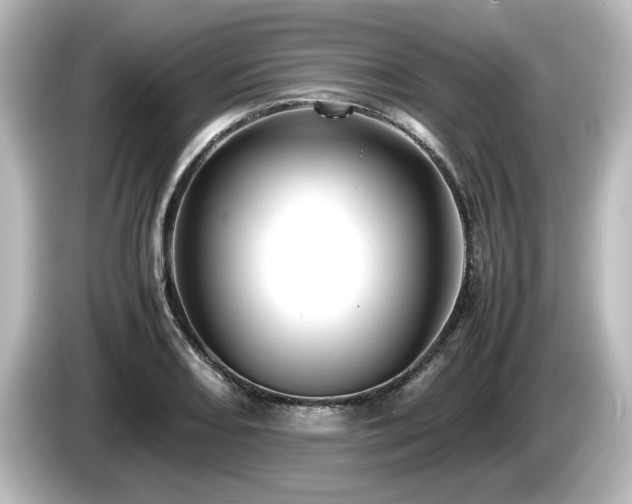 X0000085741082200703161023