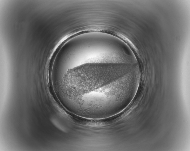 X0000085741083200703161023