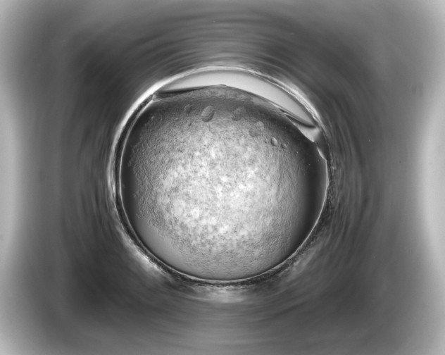X0000085741084200703161023