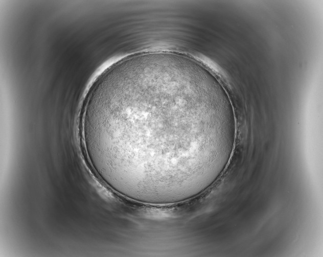 X0000085741086200703161023