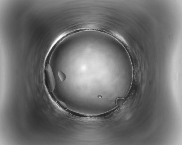 X0000085741087200703161023