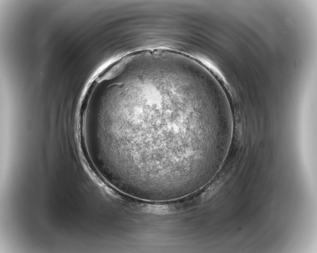 X0000085741088200703161023