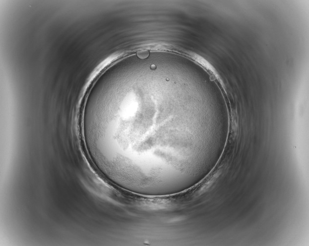 X0000085741090200703161023