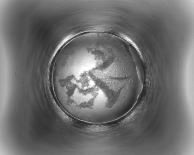 X0000085741091200703161022