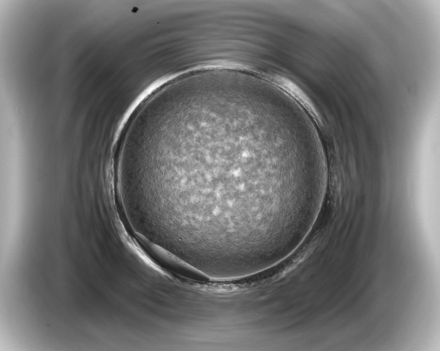X0000085741092200703161022