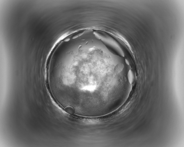 X0000085741095200703161022